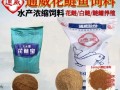 花鲢鱼喂什么饲料