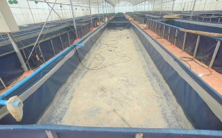 水产养殖生态模式如何实现可持续发展？