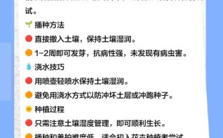 盆栽格桑花怎么养？