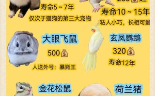 家庭小型养殖选什么品种合适？