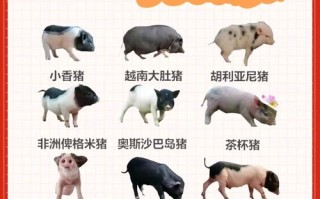 常见养殖品种有哪些？看图了解！