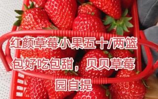 红颜草莓哪个品种最好吃？