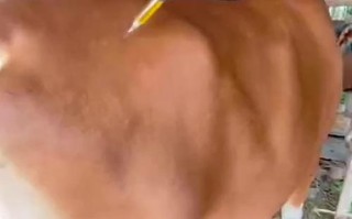 如何安全有效地让牛晕倒？