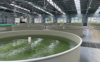 水产养殖环保改造进度如何？