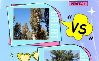 树干分株繁殖方法叫什么？