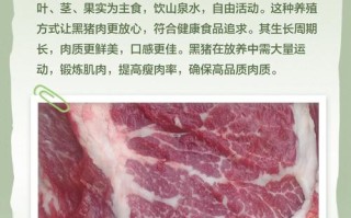 黑猪肉的价格是多少