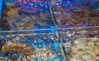 文山哪里有水产市场？