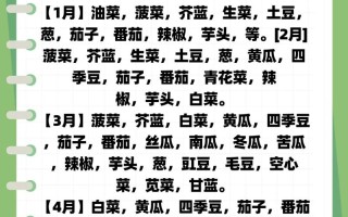 广东菜何时种？怎么种？