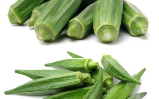 秋葵品种有哪些？附图片看区别。