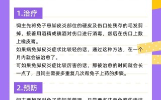 兔子如何预防与治疗疾病？