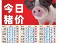 5日生猪价格是多少