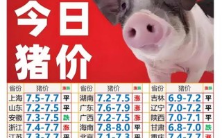 5日生猪价格是多少