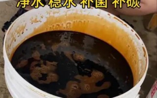 淡水养殖水产专用碳源有何作用？