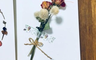 小雏菊干花制作方法有哪些？