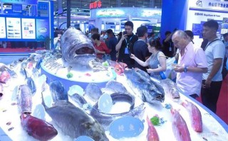 2025伊朗水产展有哪些看点？