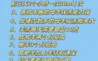科学养羊，圈内如何高效管理？