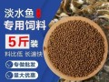 鱼苗下塘喂什么饲料