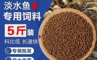 鱼苗下塘喂什么饲料