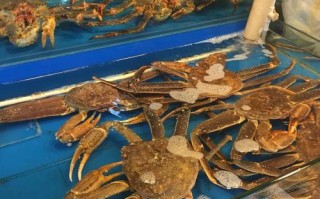 京深海鲜市场活水产价格如何？