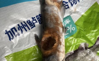 2025年叉鱼价格会涨还是跌？