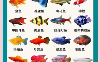 水产养殖常见养鱼品种有哪些？