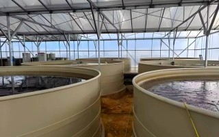 贵州水产养殖水面出租