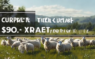 小尾寒羊现在价格是多少