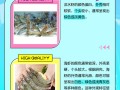 养殖清水虾能套养什么区别