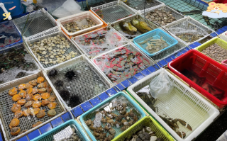 湛江水产海鲜批发市场，价格行情如何？