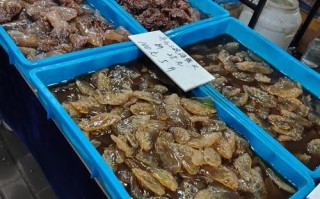 广州天河水产批发市场有何特色？