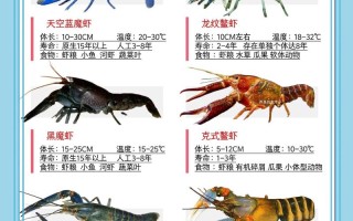 海水池塘养虾品种如何选择？