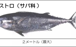 水产导论课3000字，核心内容是什么？