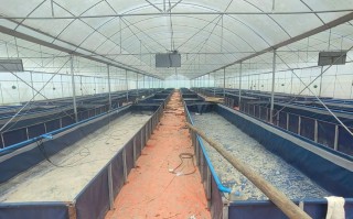 河北省农科院水产养殖有何创新成果？