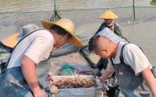 中国水产特种养殖有何新趋势？