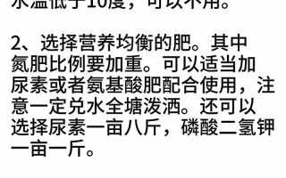 养殖塘施什么肥