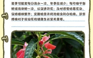 凤仙花何时种？怎么种才好？