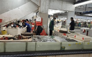 无锡两大水产批发市场哪家更优？