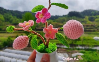 桃花盆栽自己怎么制作？