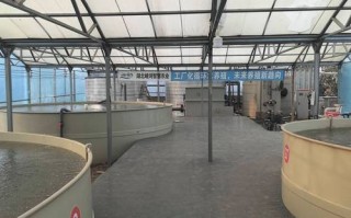 水产动物养殖环境具体包含哪些要素？