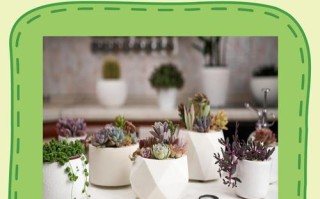 冬季植物如何养护？