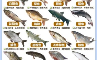 常见的水产品种有哪些