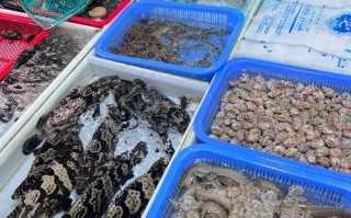 黄石水产批发市场在哪里？