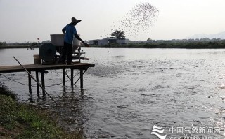 广东水产养殖工作有哪些岗位？