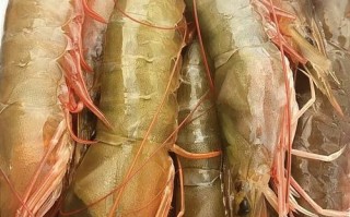 38元一只的虾是什么品种？