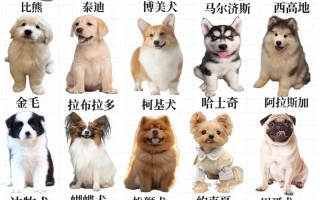 肉食狗品种怎么选才好养？