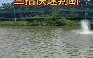 如何观察水产养殖水色