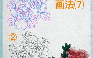 牡丹压条的方法示意图