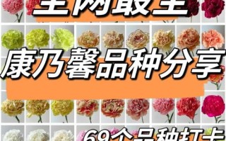 康乃馨品种多样，图片名字如何区分？
