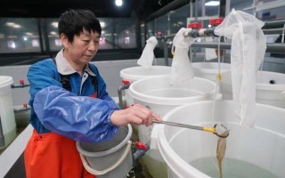 水产行业都有哪些具体工作？