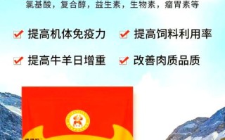 羊防病预防在饲料中添加什么